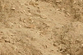 Sawdust