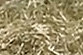 Sawdust